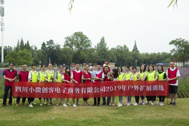 中国 Sichuan Small Minimally Invasive Passenger Ecommerce Ltd. 企業収益