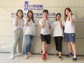 中国 Sichuan Small Minimally Invasive Passenger Ecommerce Ltd. 企業収益
