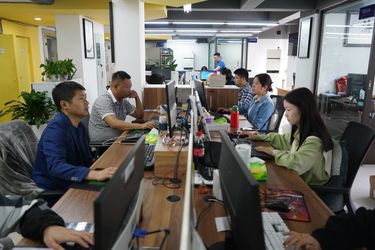 中国 Sichuan Small Minimally Invasive Passenger Ecommerce Ltd. 企業収益