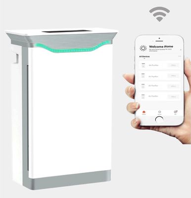 HOMEFISH ネガティブイオン家用空気浄化器 UVC 空気浄化器 220V