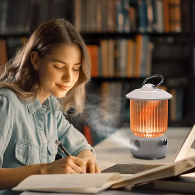 よい価格 HOMEFISH テーブルトップ バッテリー駆動 USB 空気湿気機 260ml オンライン